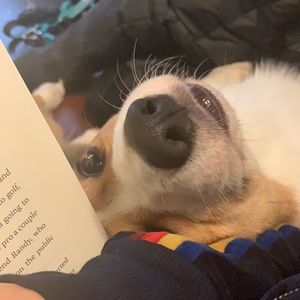 Meet your Posher, Flora